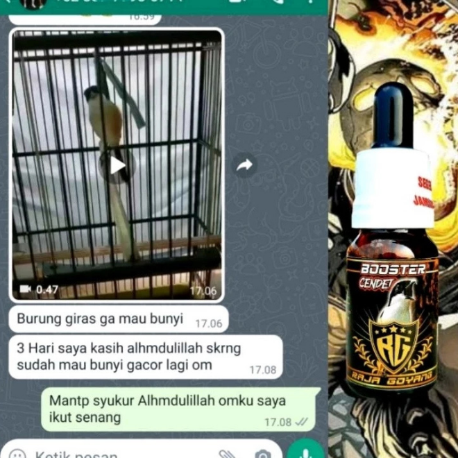 Raja Goyang Booster Cendet – Serum Herbal Penggacor Instan Burung Cendet screenshot