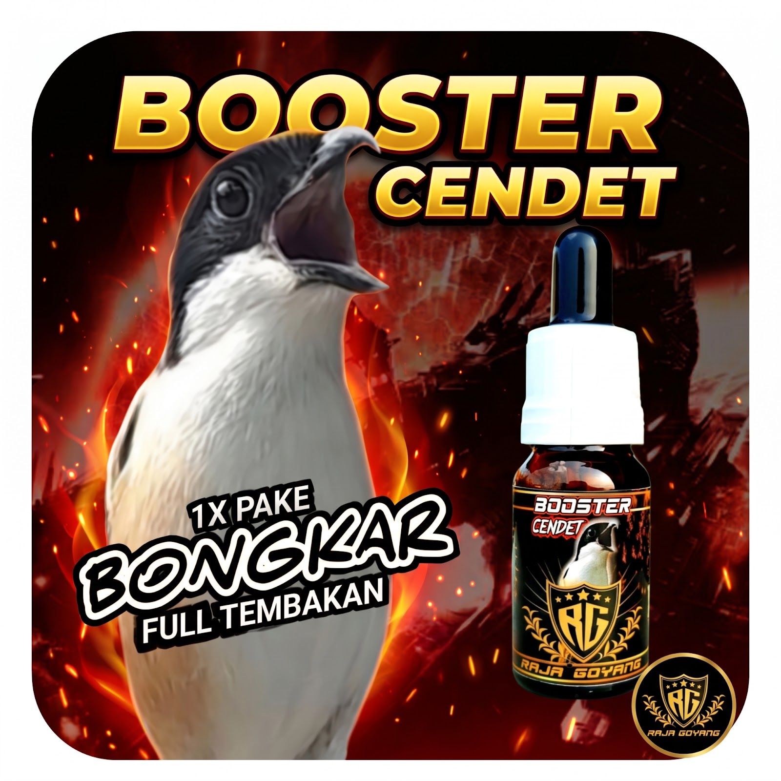 Raja Goyang Booster Cendet – Serum Herbal Penggacor Instan Burung Cendet