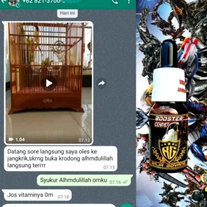 Raja Goyang Booster Cendet – Serum Herbal Penggacor Instan Burung Cendet screenshot